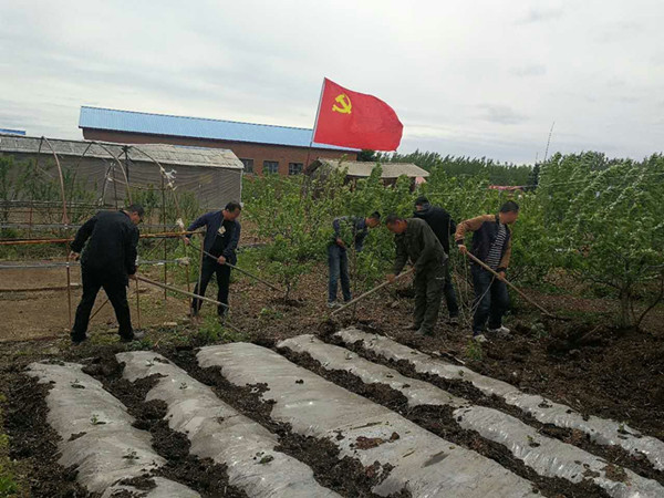 mmexport1496384112295_副本.jpg
