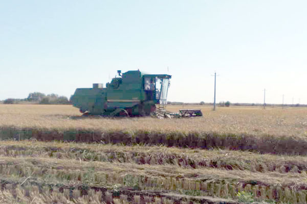 mmexport1506490975476.jpg