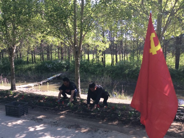 种花.jpg