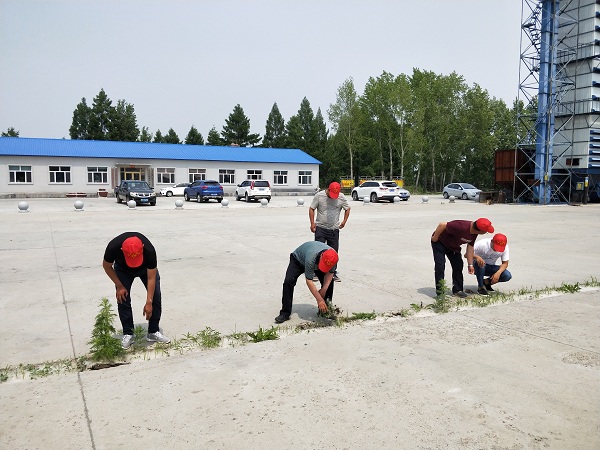 IMG20180604112625.jpg