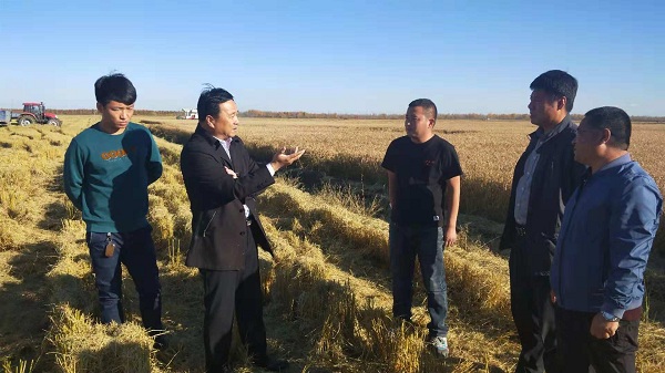 焦书记.jpg
