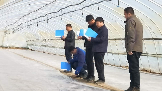 摆盘大赛1.jpg