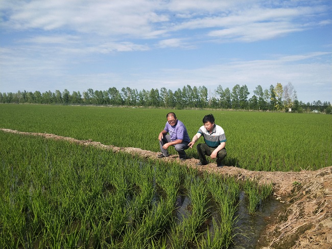 IMG20180612152645.jpg