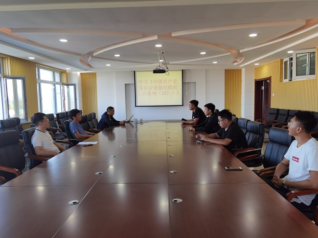 学习《中国共产党国有企业基层组织工作条例（试行）》_副本.jpg