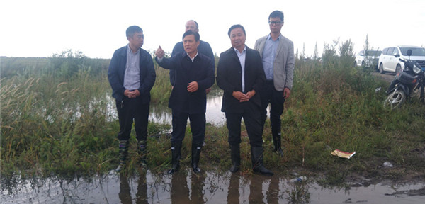 QQ图片20200901091102_副本.jpg
