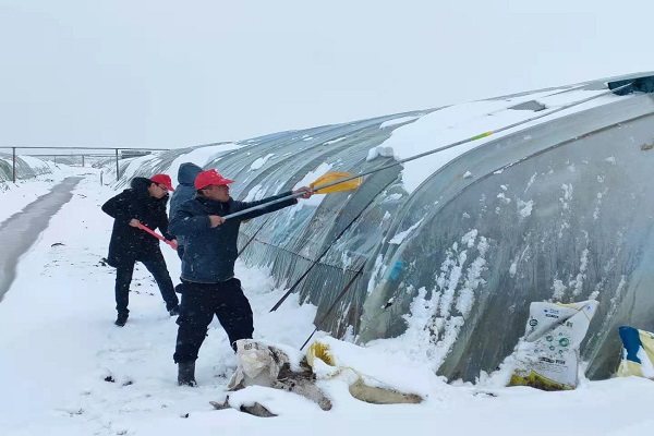 青年志愿者清雪.jpg