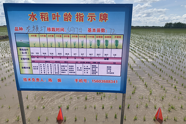 b9abe2a72d720472cc79a7ef4d527e7.jpg