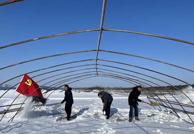 二道河农场有限公司党员先锋做引领 志愿服务备春耕_副本.png