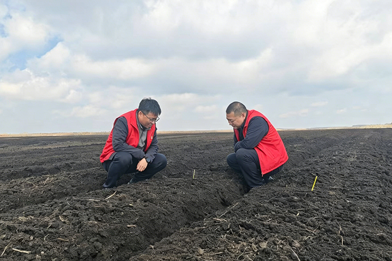 为图片右侧两人添加红色马甲 (1).png
