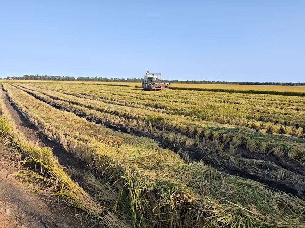 e839835e60f64b64bb698a5b1ee85a85.jpg